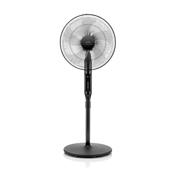 Fan rack ETA Naos 2607 90000 black