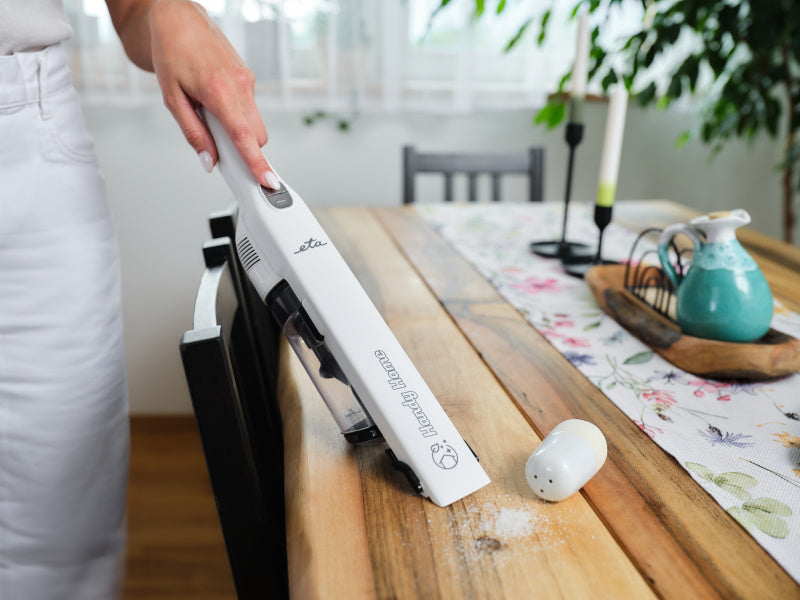 Handheld and stick vacuum celaner ETA Handy Home 5428 90000 white